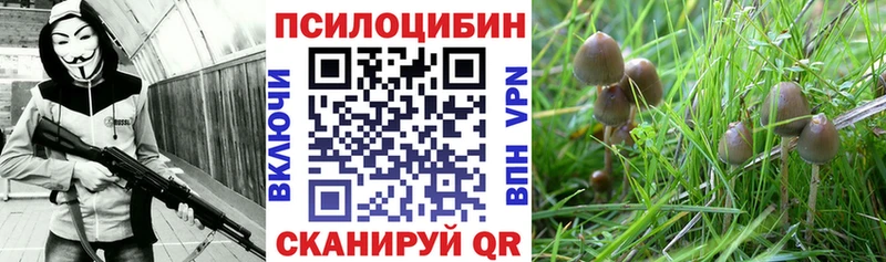 купить наркоту  Муром  Псилоцибиновые грибы ЛСД 