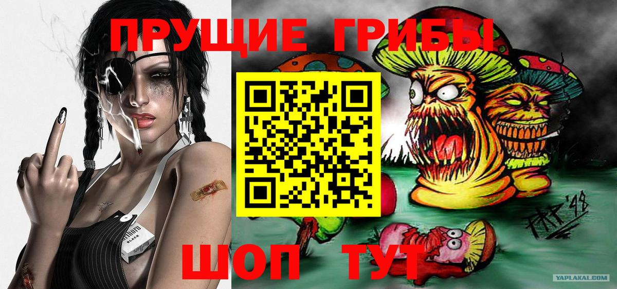 Муром  Галлюциногенные грибы Psilocybine cubensis  Вход с VPN  Галлюциногенные грибы прущие грибы 