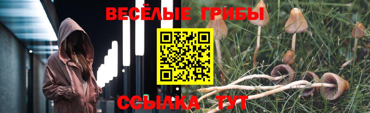 Псилоцибиновые грибы MAGIC MUSHROOMS Муром